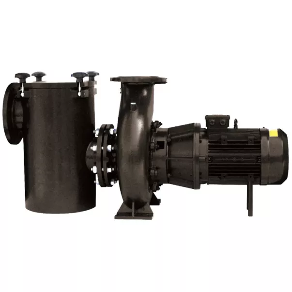 Hayward HCP5233E24, 28 м3/год, 2,2 кВт, 400 В насос для басейну - Фото №2