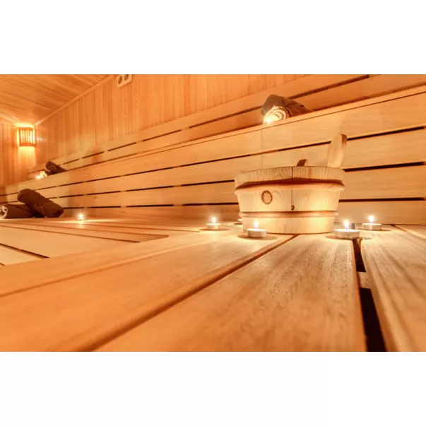 Sentiotec Concept R combi 10.5 кВт електрокам'янка з парогенератором - Фото №2