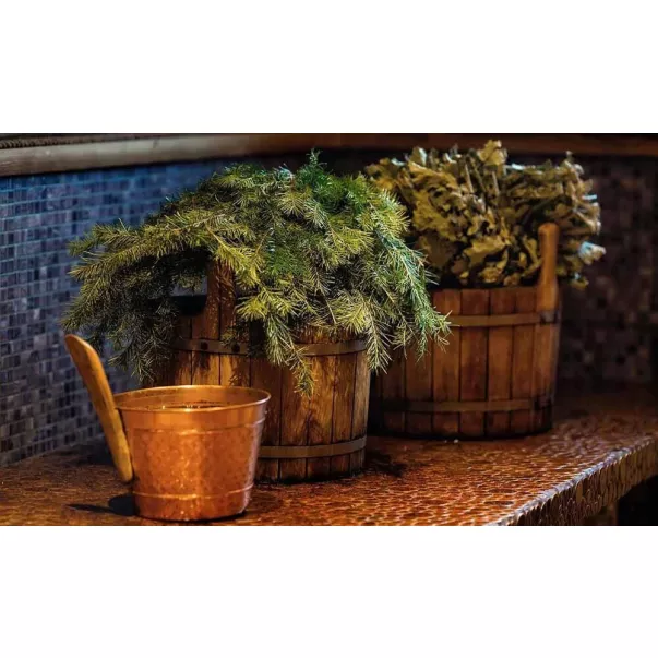 FinTec Elektro-Saunaofen Irmina 6 кВт електрокам'янка з порошковим фарбуванням - Фото №4