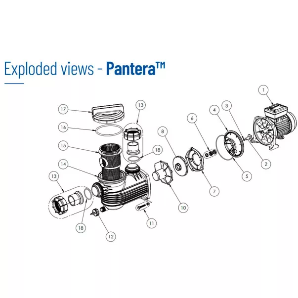 Pentair Pantera 031, 6 м3/ч, 0,25 кВт, 230 В насос для бассейна - Фото №4