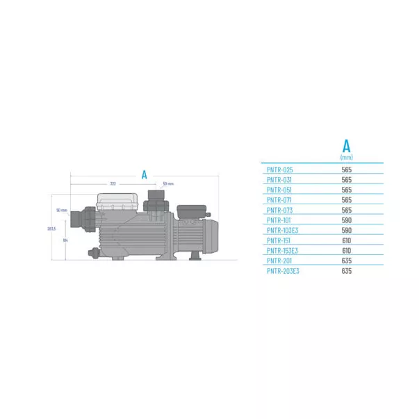 Pentair Pantera 031, 6 м3/ч, 0,25 кВт, 230 В насос для бассейна - Фото №2