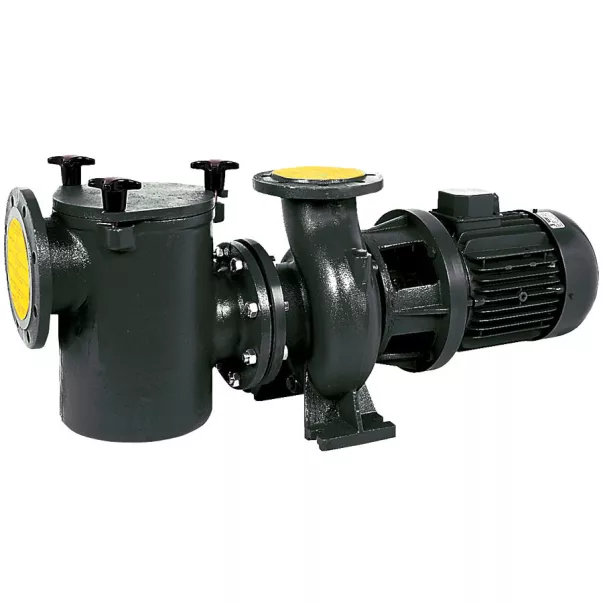 Saci CF-2 750 - 125 м3/год, 5,5 кВт, 400 В насос для басейну