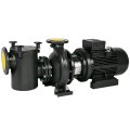 Saci HF - 2 558 - 34 м3/год, 4 кВт, 400 В насос для басейну