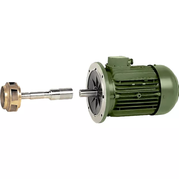 Saci CF - 4 550 - 84 м3/год, 4 кВт, 400 В насос для басейну - Фото №4