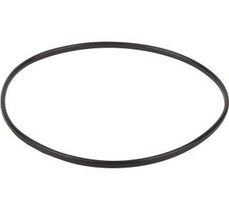 Уплотнительное кольцо к прижимному фланцу корпуса насоса Emaux SC (02011089)