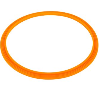 Уплотнительное кольцо для LED прожектора Emaux UL-P100 2021004