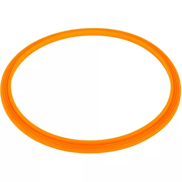 Уплотнительное кольцо для LED прожектора Emaux UL-P100 2021004