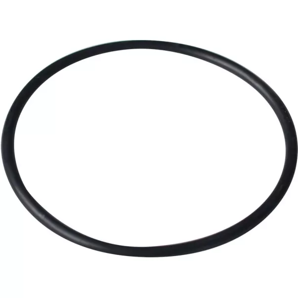 Резиновая прокладка под крышку насоса Emaux серии SS / O-Ring for lid для SS 2011074