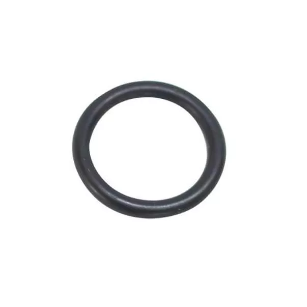 Уплотнительная резинка крышки фильтра Hayward Side PWL (SX0200Z5)
