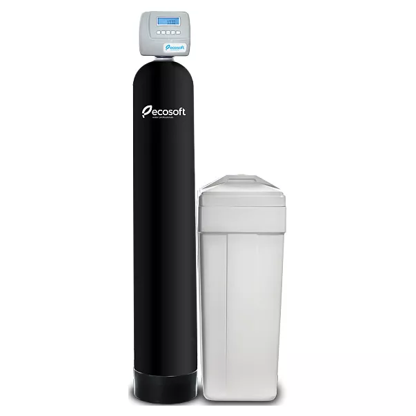 Ecosoft FK 1054 CE фільтр знезалізнення і пом'якшення води