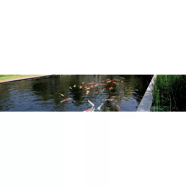 Firestone EPDM мембрана для ставків 1,2мм х 15м х 30м - Фото №2