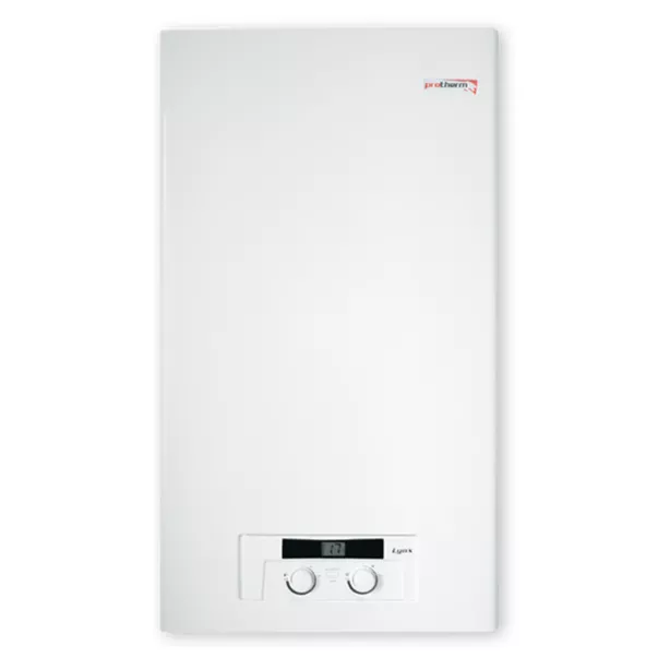 Protherm Рись LYNX 24 23,5 кВт турбований котел газовий двоконтурний