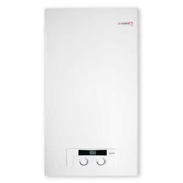 Protherm Рись LYNX 24 BA 23,5 кВт атмосферне котел газовий двоконтурний