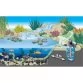 OASE FiltoClear Set 16000 - 51253 Напорная система фильтрации - Фото №4