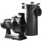 Hayward HCP38301E KAP300 M.B, 48 м3/год, 2,8 кВт, 230 В насос для басейну