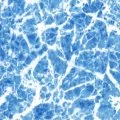 Elbe SUPRA Marble Blue ПВХ пленка для бассейна (лайнер) с акриловым лаковым покрытием