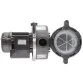 Pentair ULTRA-FLOW 14 м3/год, 0,55 кВт, 230 В насос для басейну - Фото №2