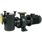 Saci CF-2 750 - 125 м3/год, 5,5 кВт, 400 В насос для басейну