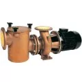 Saci BR-2 1500 - 193 м3/год, 11 кВт, 400 В насос для басейну