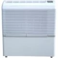 Ecor D950E осушитель для бассейна