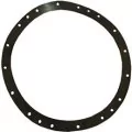 Ущільнювальна гумка фланця для прожектора Kripsol RPR120.A (к-т) р