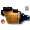 Winter.Pumpen Classic XL 110 м3/час (Т), 5,5 кВт, 400 В насос для бассейна