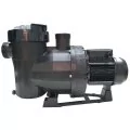 Astral / Fluidra Victoria Plus silent 16 м3/час (М), 0,78 кВт, 230 В насос для бассейна