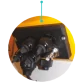 Injecta ATHENA AT-AM3 16 л/год насос дозатор для басейну - Фото №3